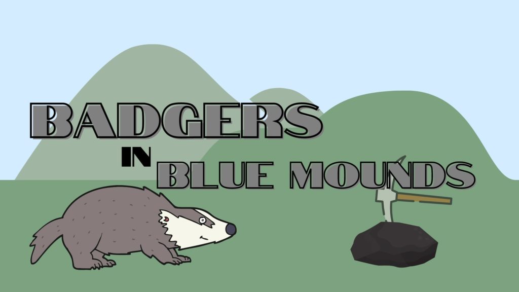 Badgers in Blue Mounds with a badger