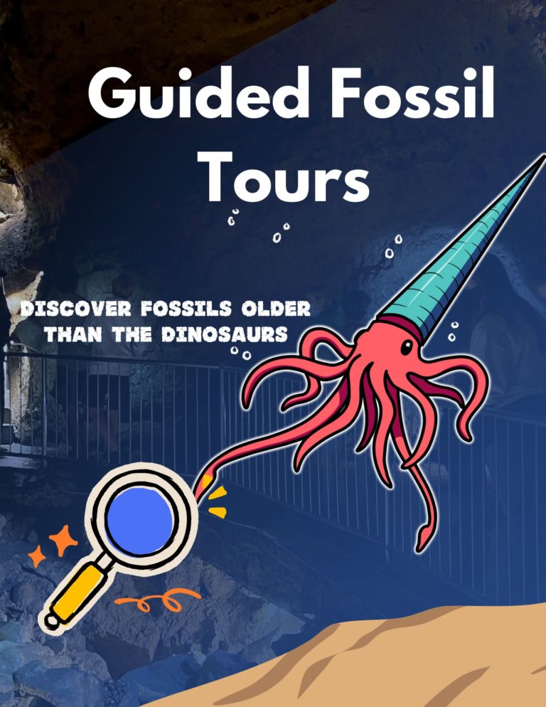 Fossil Tour. Discover Fossils Older than the Dinosaurs. Available in February near Madison, Wisconsin.