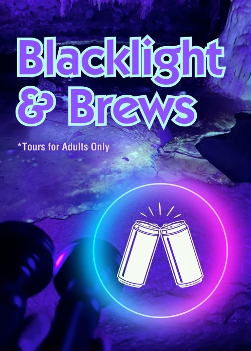 Blacklight & Brews at Cave of the Mounds. This is an adults only tour. There is an icon of two beer cans clinking with a neon blue and pink circle around the beer cans.