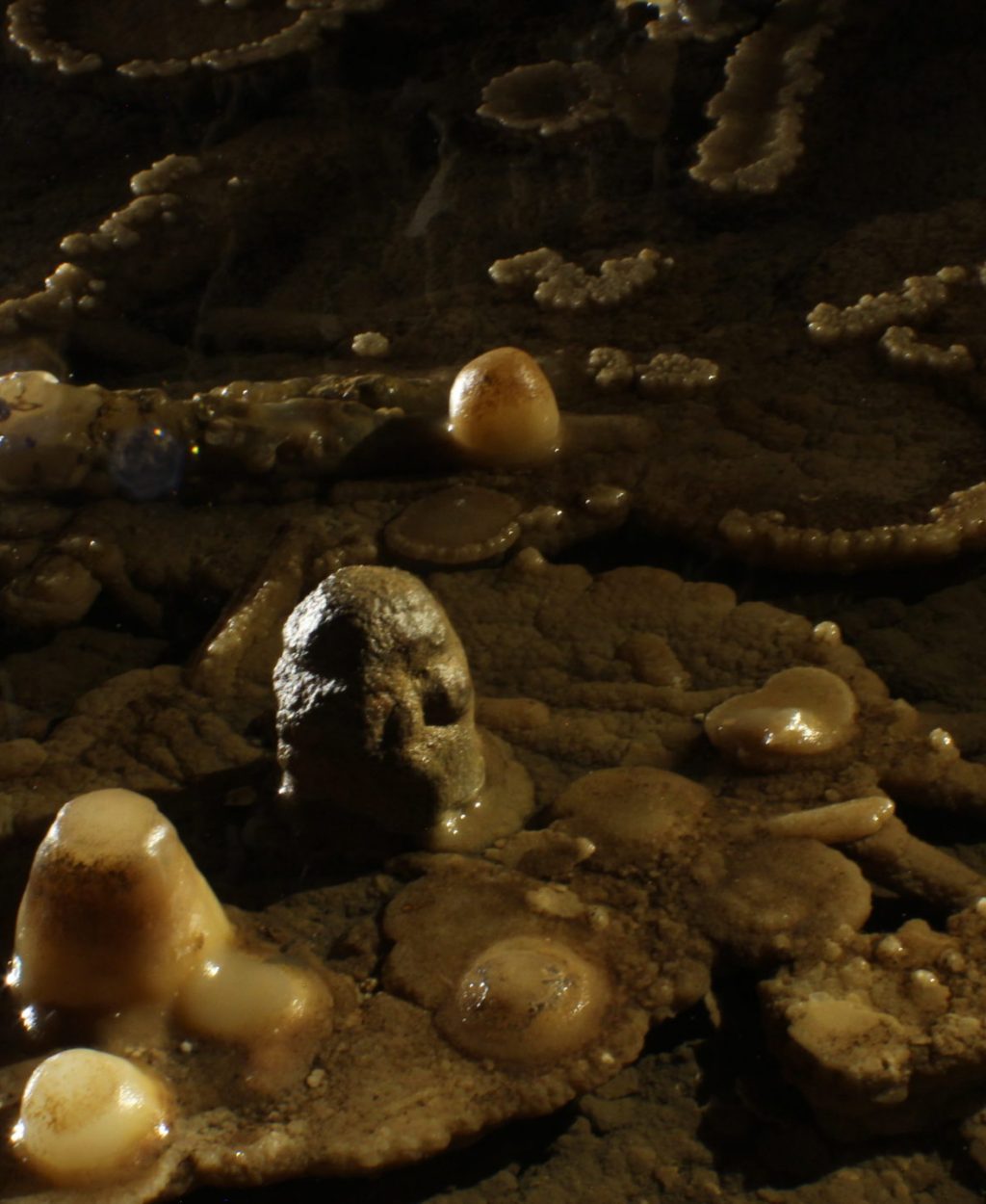 Cave Raft formation in a pond of water at cave of the Mounds