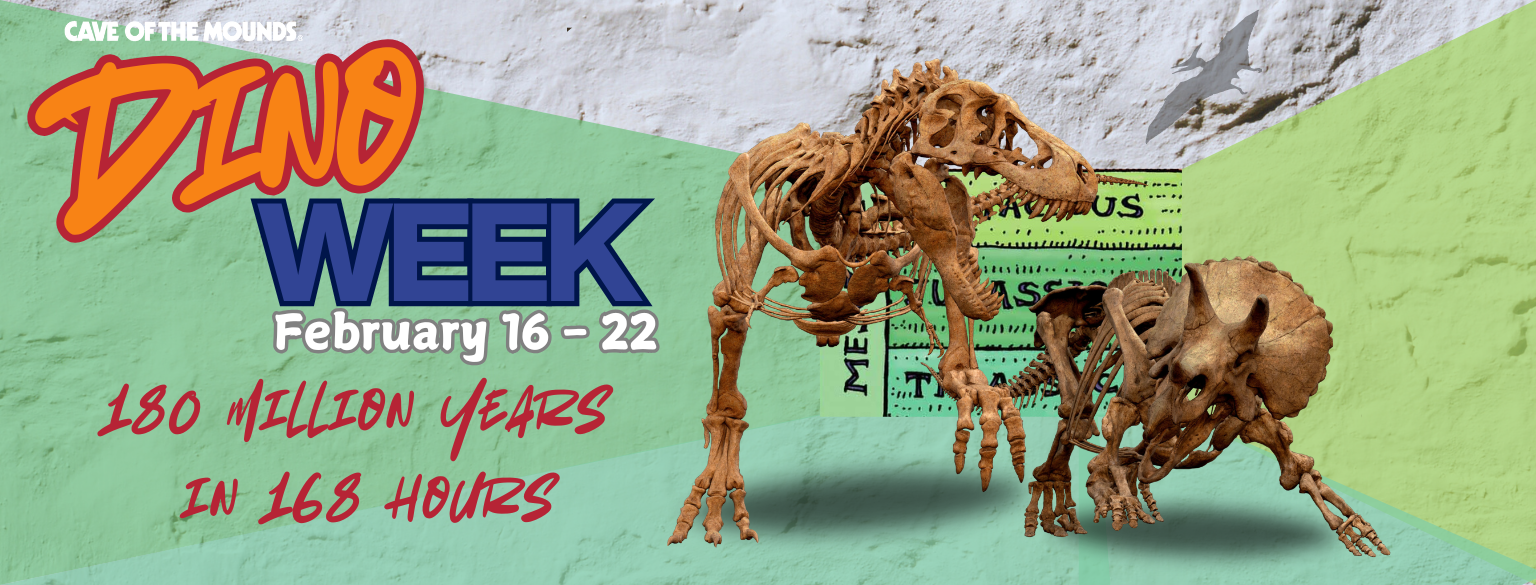 Dino Week this february